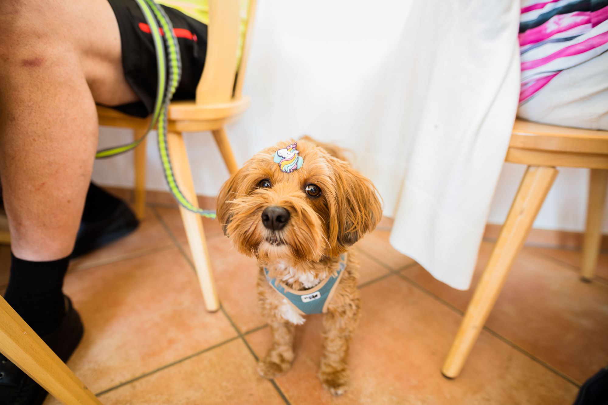 Export x3 5D4 5211 Geburtstag 75 Klara @ Golffricktal